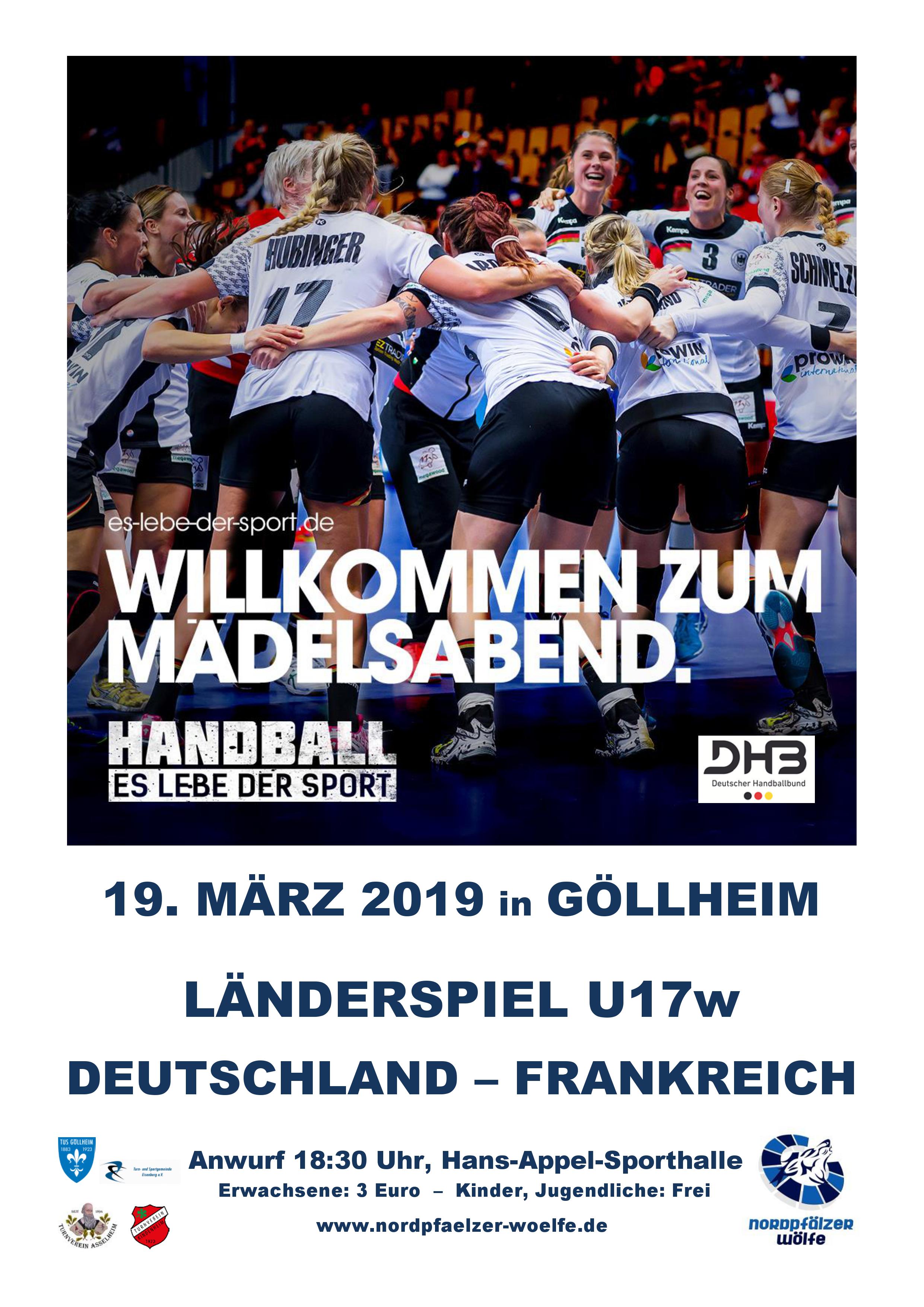 Plakat Länderspiel Handball
